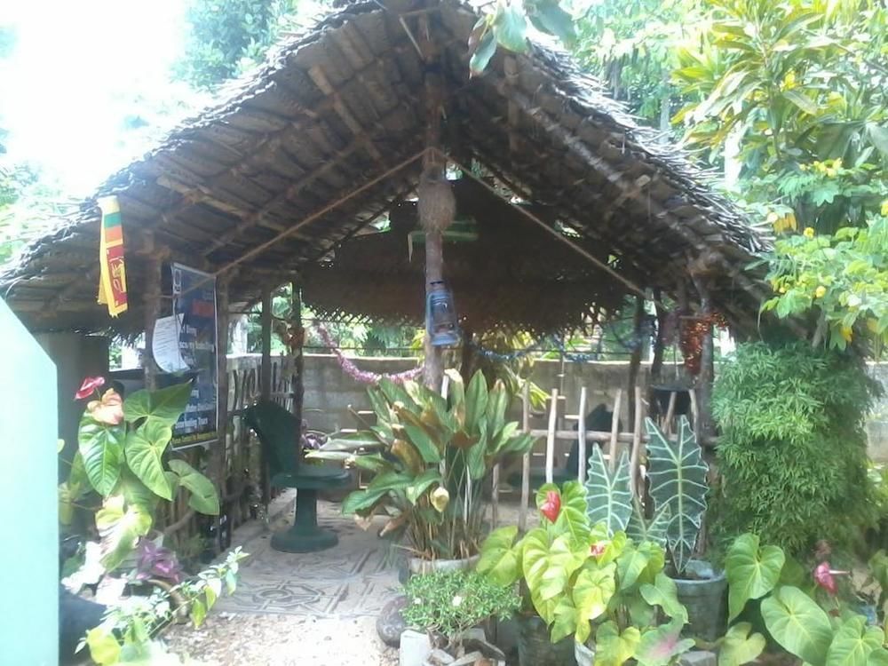 Hotel Himasha Guest Mirissa Esterno foto